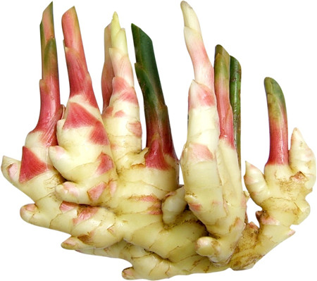 1738342319686490.jpg 5ef2911052aebd016f509b75814f4808_webwxgetmsgimg_&MsgID=3335003527245940940&skey=%40crypt_eb806ce3_64635aaac9a52bd09f375144569edeb8.jpg